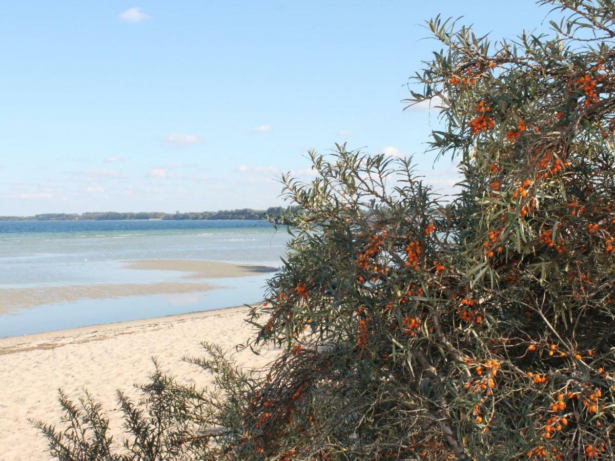 Lovely Bungalow Near Sea In Elmenhorst Kalkhorst Εξωτερικό φωτογραφία